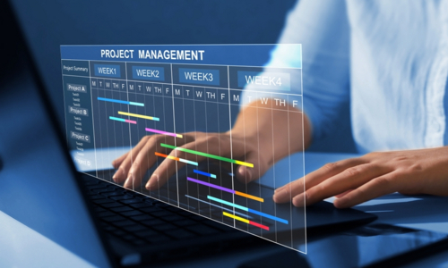 Construction Management vs. Full Development Management: What&rsquo;s the Real Difference?